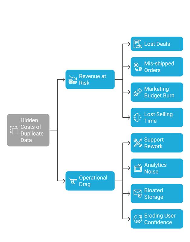 The Hidden Costs of Duplicate Data